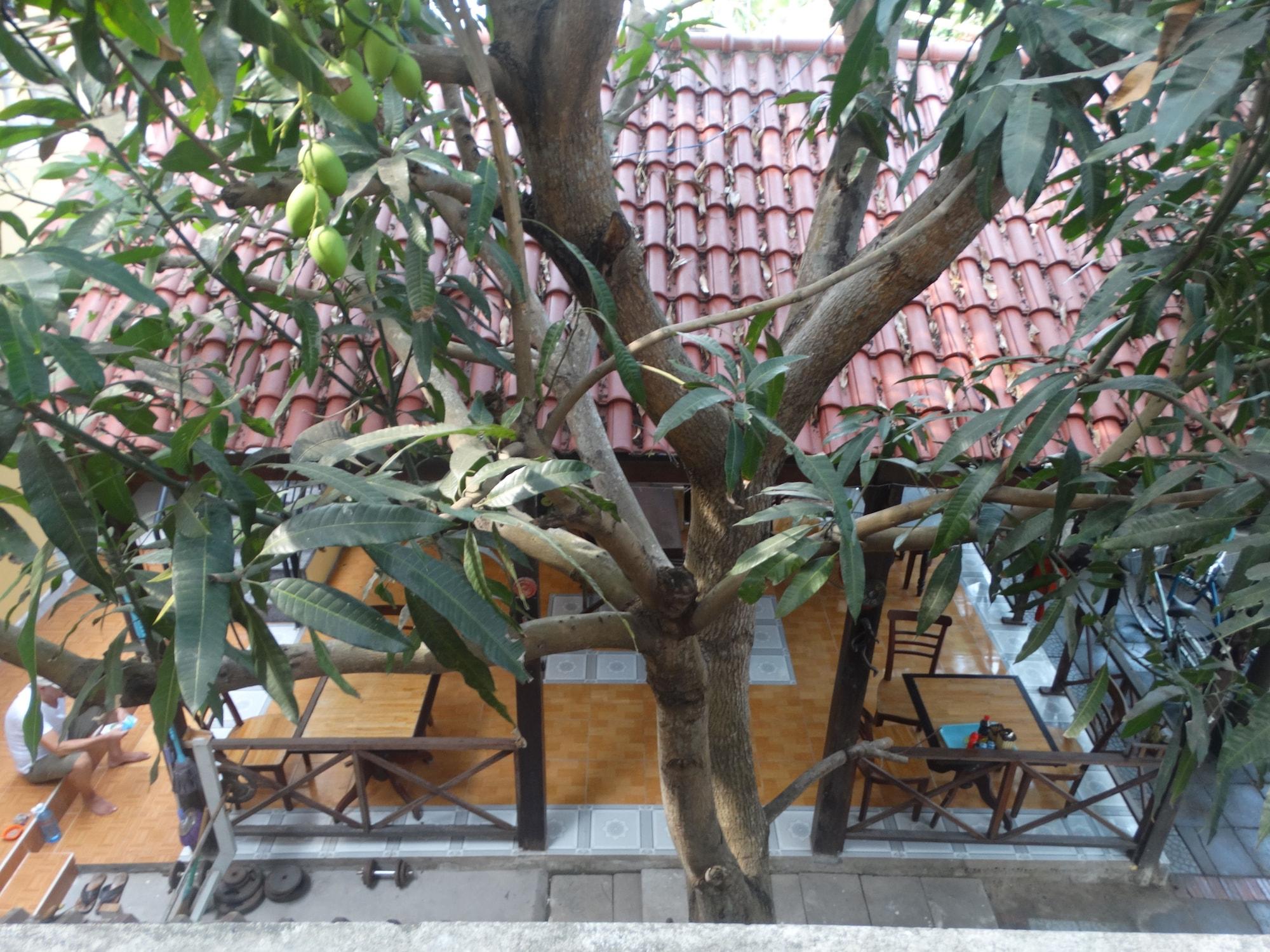Yellow House Homestay Hoi An Exterior foto