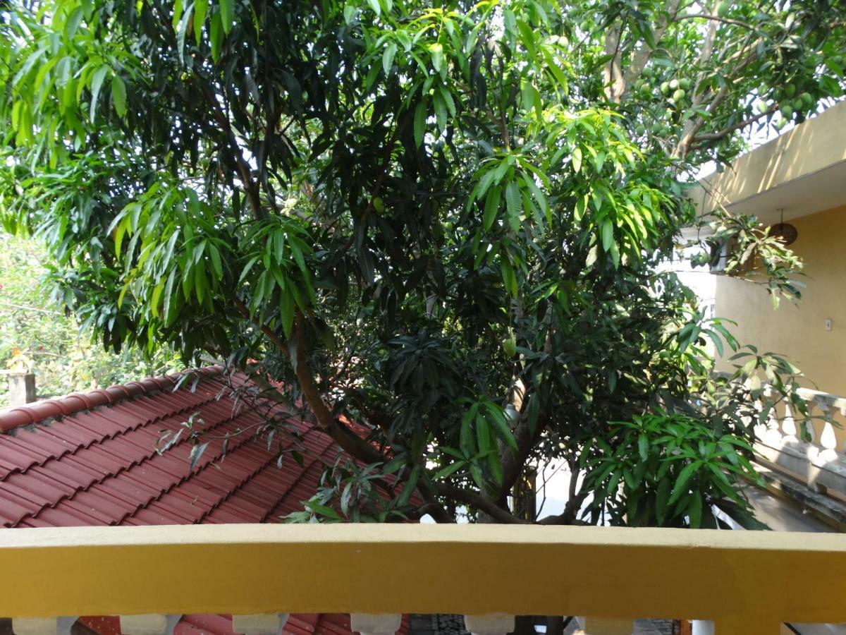 Yellow House Homestay Hoi An Exterior foto